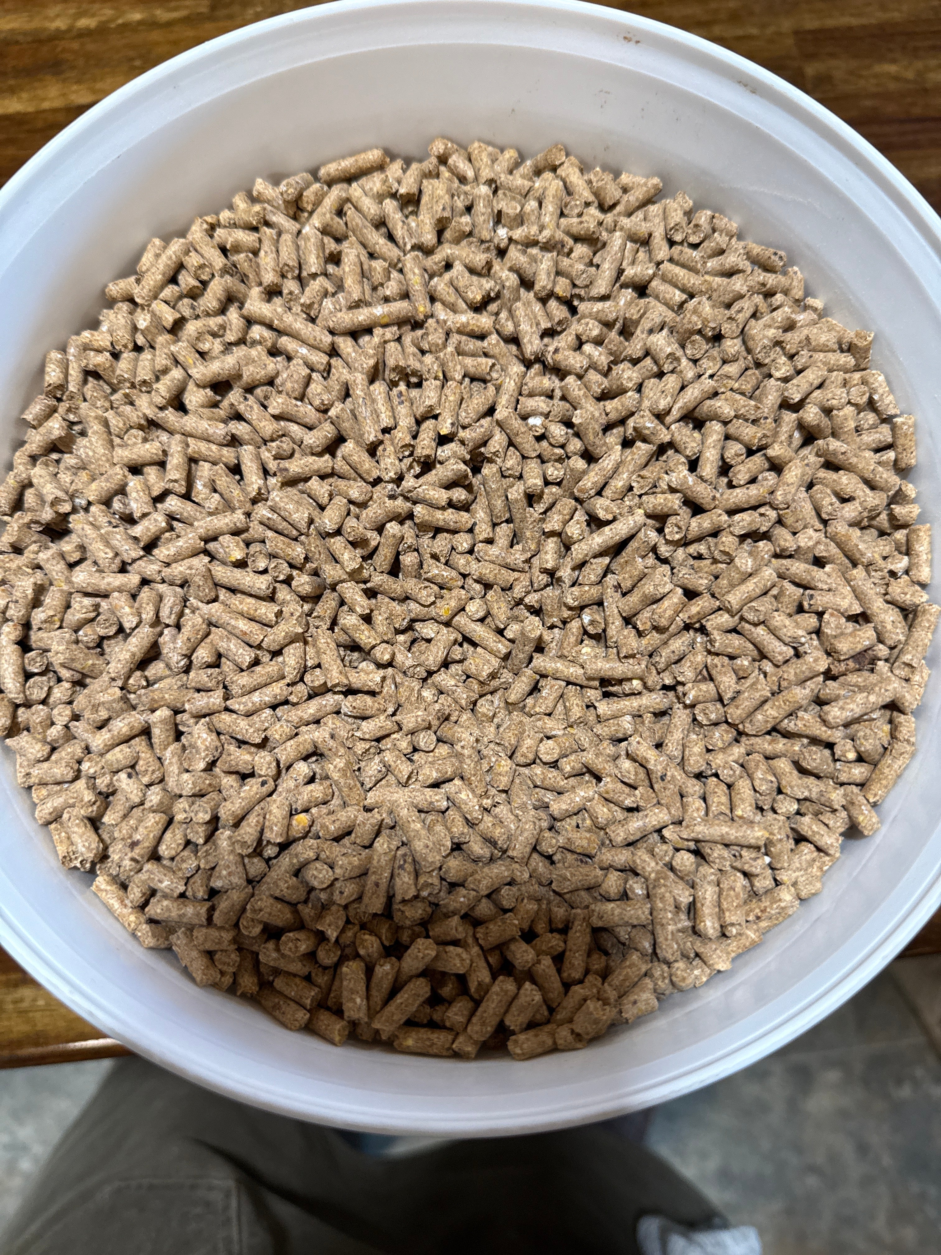Animal feed